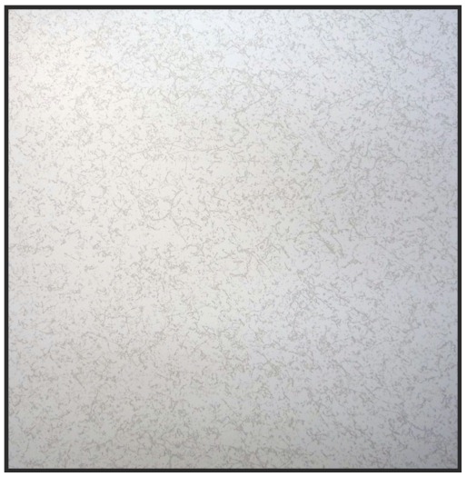 Wood Core Raised Access Flooring - Solid Panel Views - Top